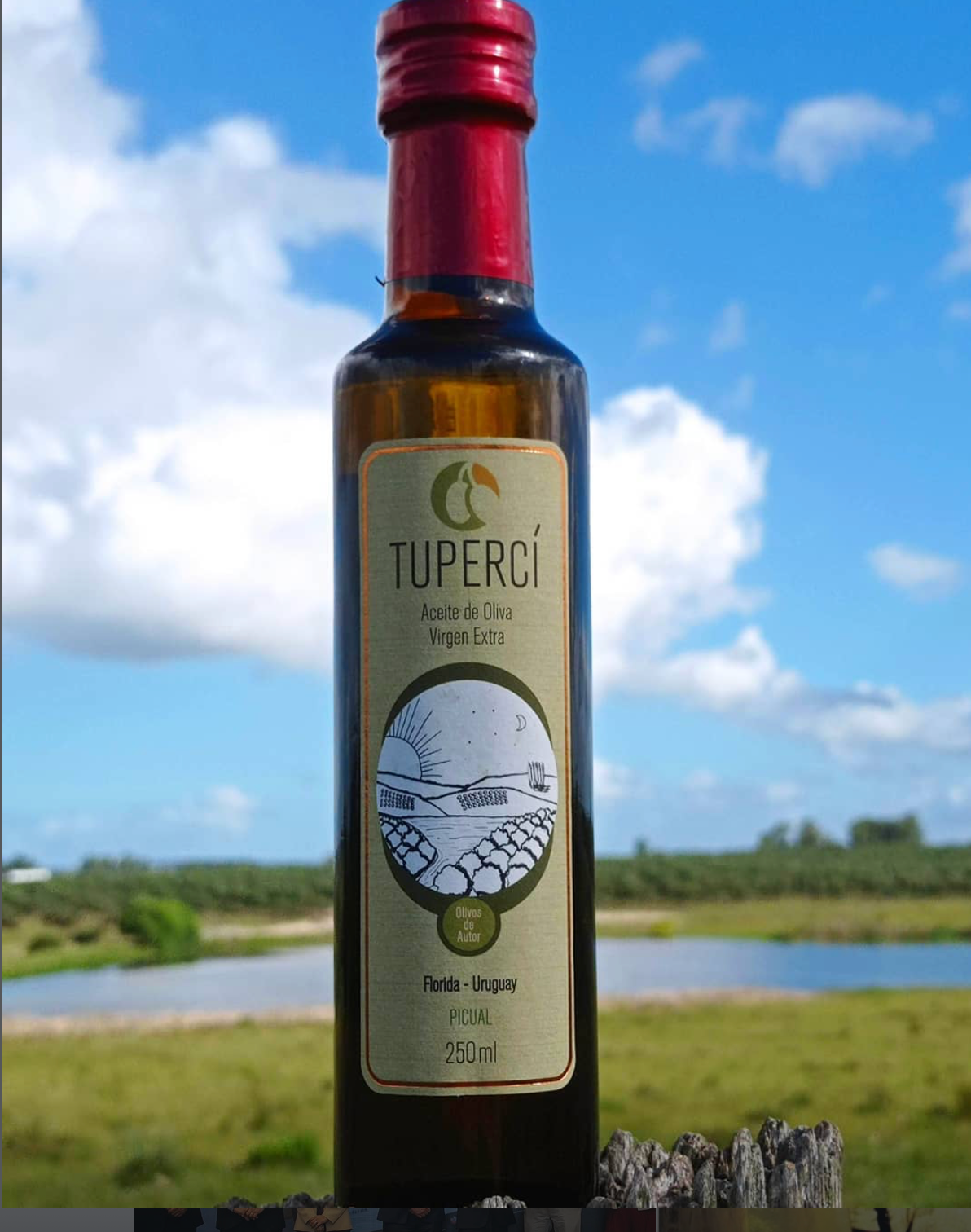 Tupercí Picual 250ml bottle photographed at the Casupá estate